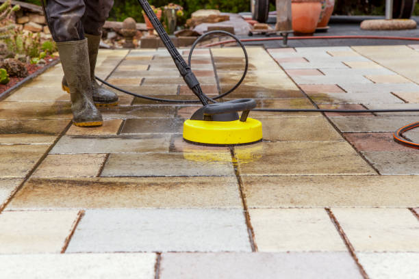 Best Pool Deck Cleaning  in Occidental, CA